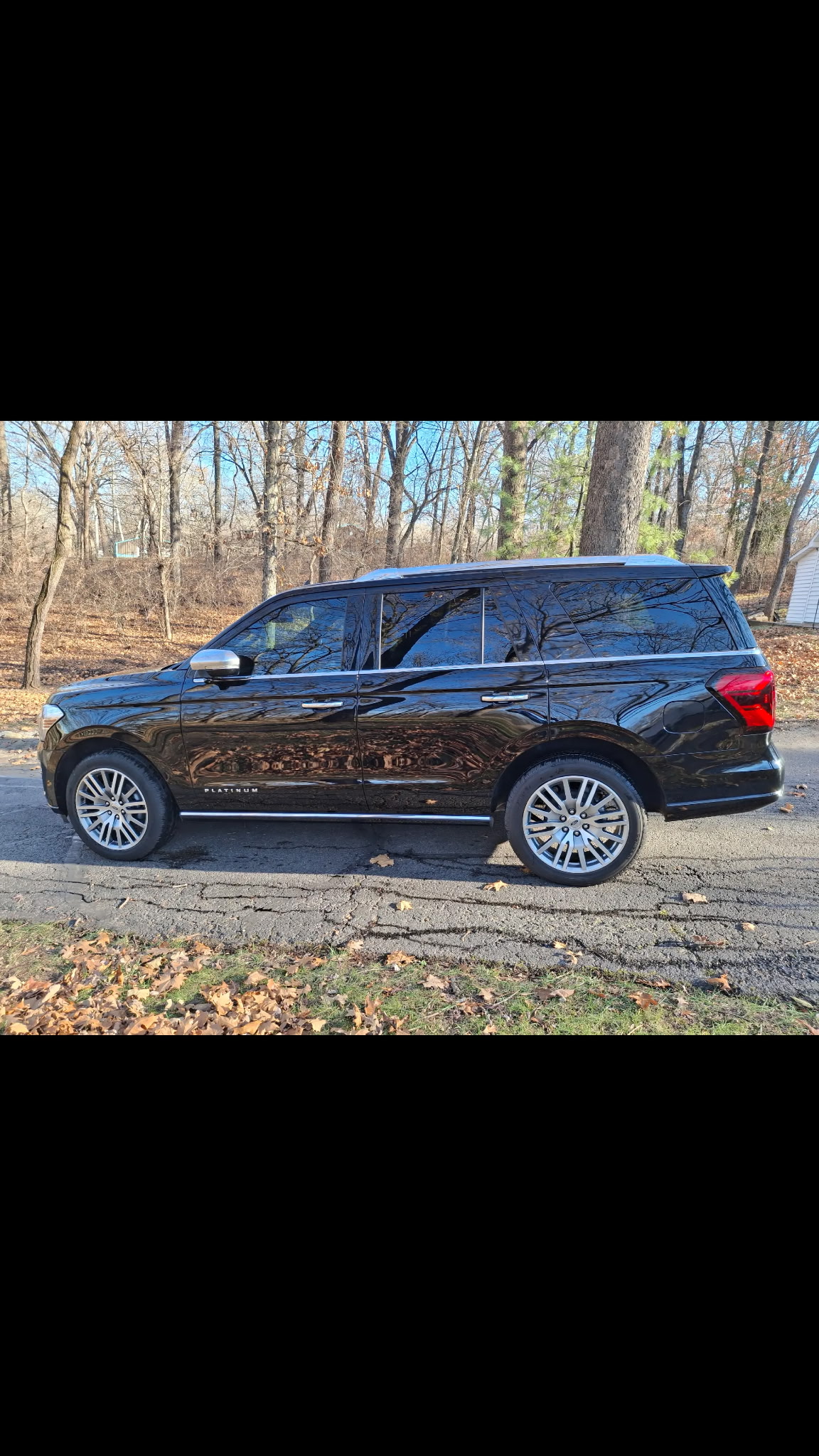 Ford Expedition Platinum exterior detail